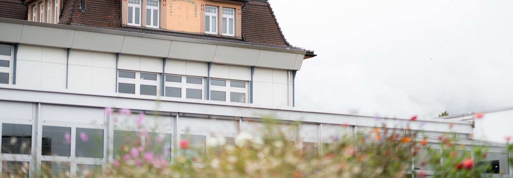 splag-organisation-neu